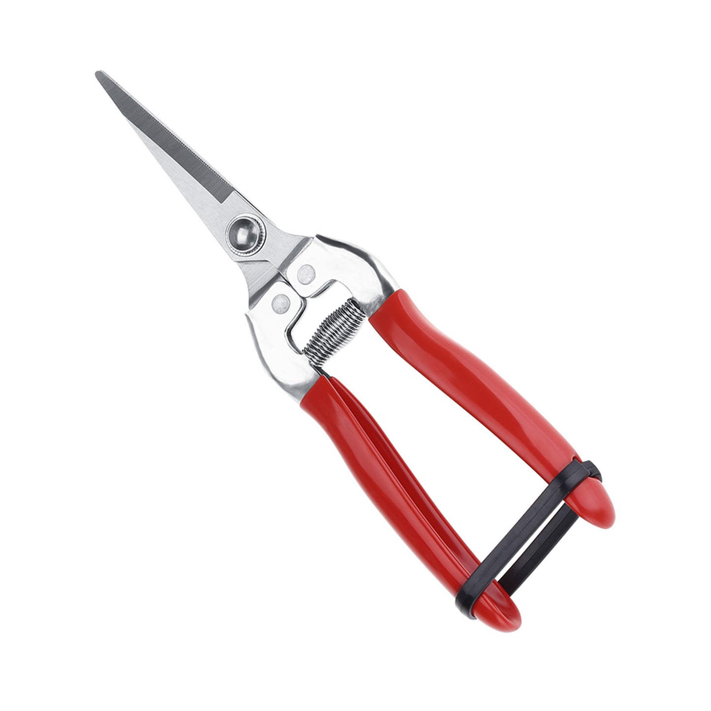 Sturdy Snips – Premium Pruning Shears & Garden Scissors