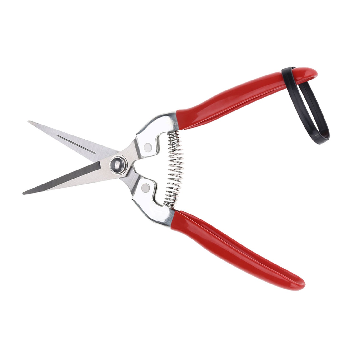 Sturdy Snips – Premium Pruning Shears & Garden Scissors