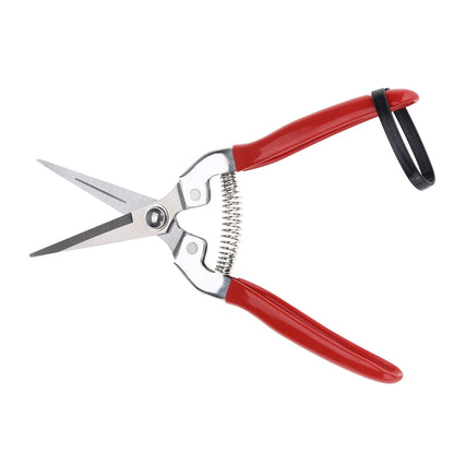 Sturdy Snips – Premium Pruning Shears & Garden Scissors