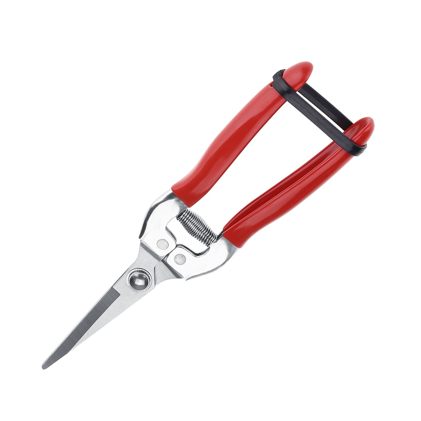 Sturdy Snips – Premium Pruning Shears & Garden Scissors
