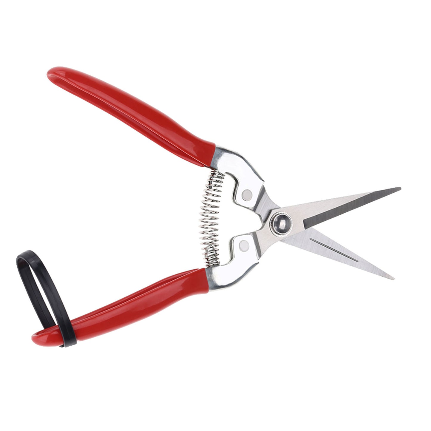 Sturdy Snips – Premium Pruning Shears & Garden Scissors