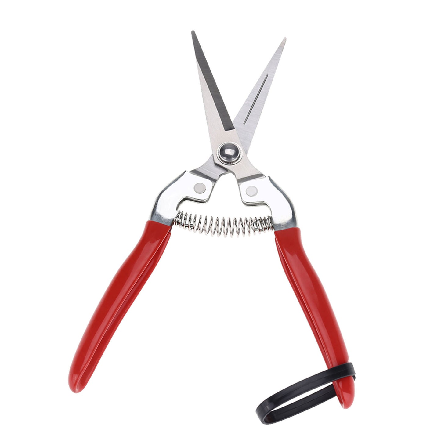 Sturdy Snips – Premium Pruning Shears & Garden Scissors
