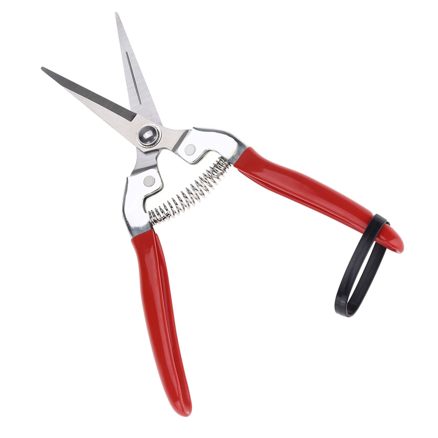 Sturdy Snips – Premium Pruning Shears & Garden Scissors