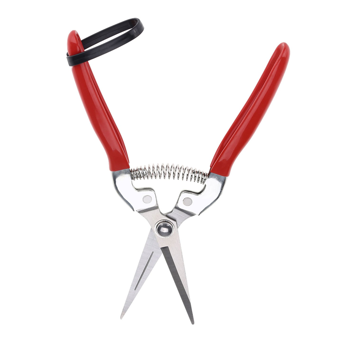 Sturdy Snips – Premium Pruning Shears & Garden Scissors