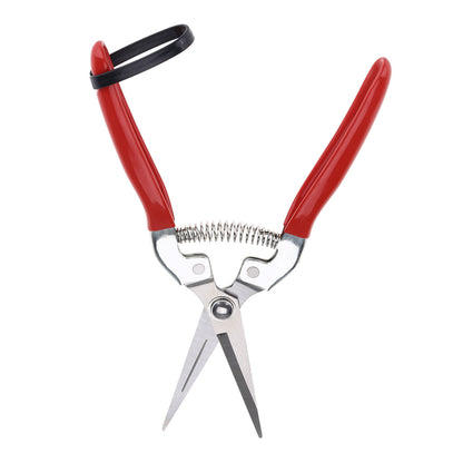 Sturdy Snips – Premium Pruning Shears & Garden Scissors